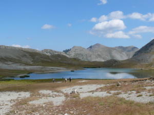 Les lacs Lignins